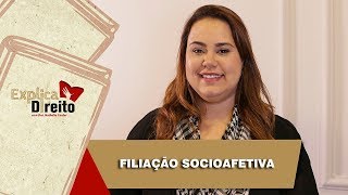 Explica Direito Filiação Socioafetiva  2019 [upl. by Teirtza502]