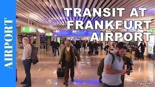 TRANSIT WALK AT FRANKFURT Airport FRA Terminal 1  Connection Flight Transfer Arriving amp Departing [upl. by Rosamund306]